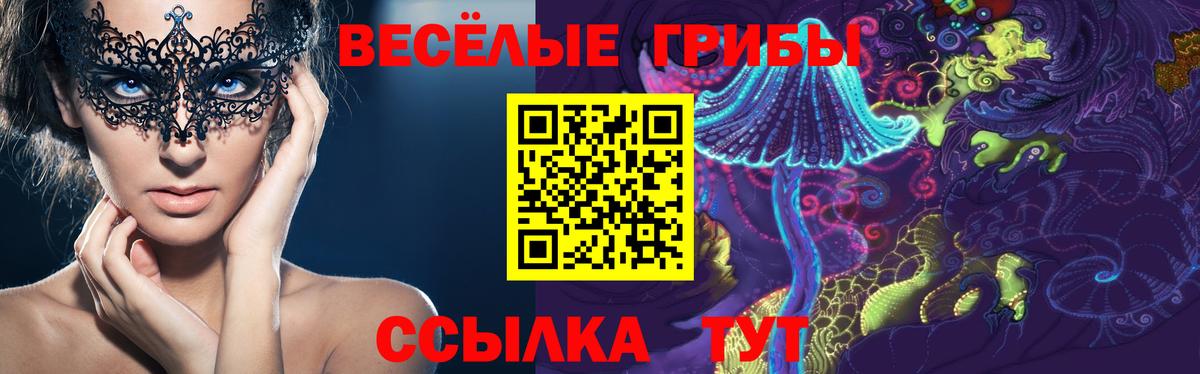 Галлюциногенные грибы Psilocybine cubensis  Вход с VPN  Кандалакша  Галлюциногенные грибы Psilocybine cubensis 